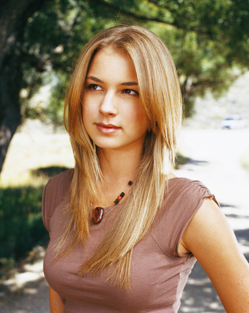 Apologise, but, Emily VanCamp tits Emily VanCamp tits cleared